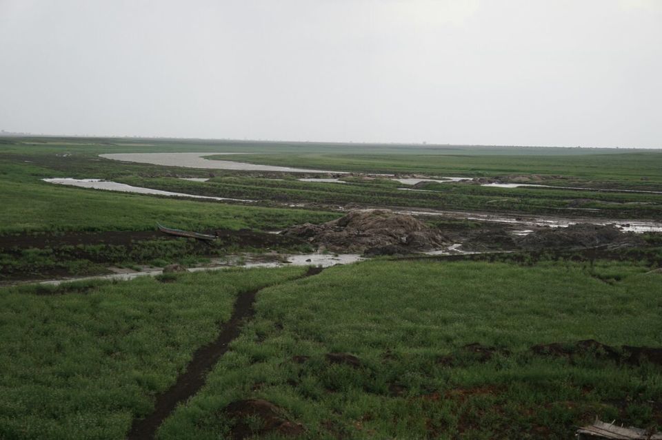 Photo of Somasila, Telangana, India by Prathibha Pamujula
