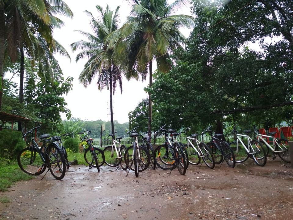 Photo of Dharwad, Karnataka, India by Prathibha Pamujula