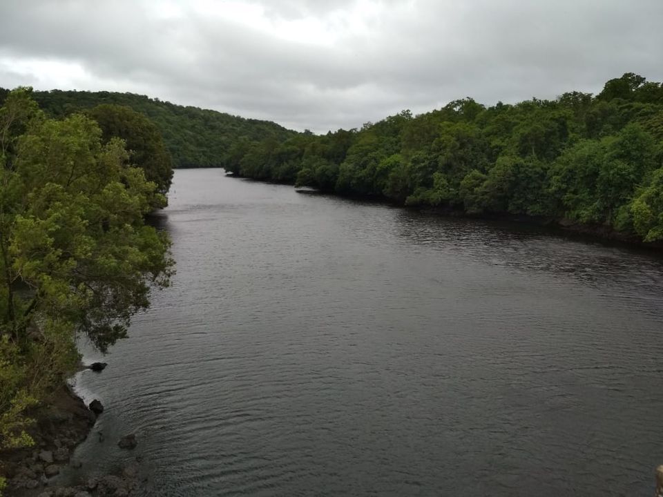 Photo of Dandeli, Karnataka, India by Prathibha Pamujula