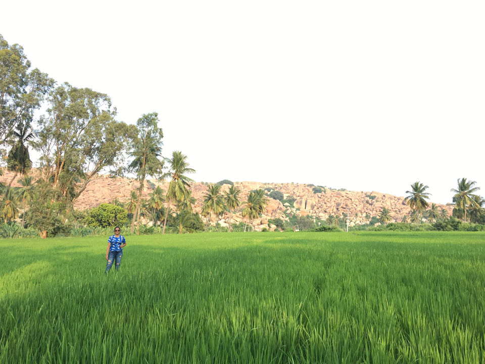 Photo of Solo In The Ruins Of Hampi by Samruddhi Haldankar