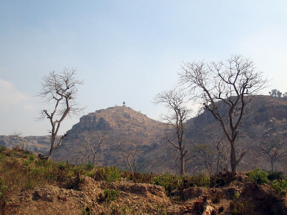 Photo of At Ranthambore National Park by Falito Naef