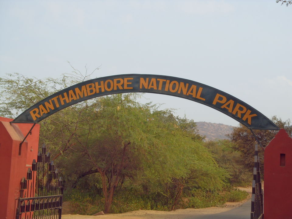 Photo of Ranthambore National Park Entrance by Falito Naef