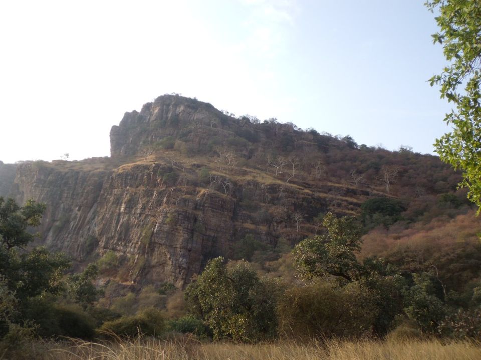 Photo of At Ranthambore National Park by Falito Naef
