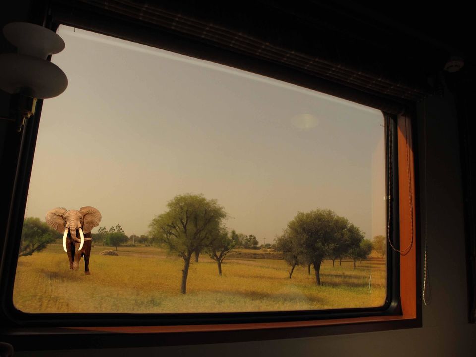 Photo of View From Maharajas Express by Falito Naef