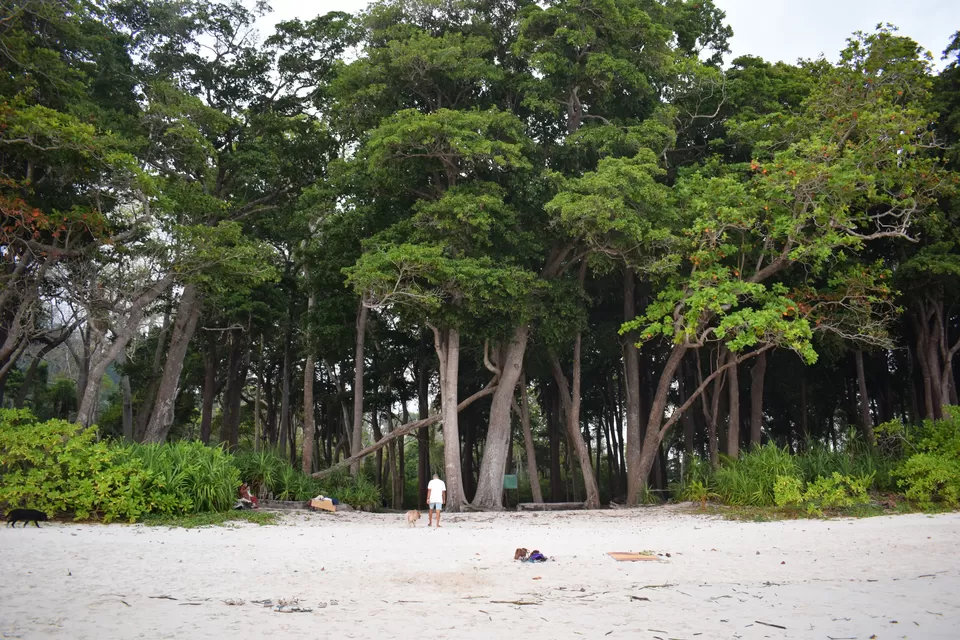 Photo of Elephant Beach, South Andaman, Andaman and Nicobar Islands, India by Urvashi Rana
