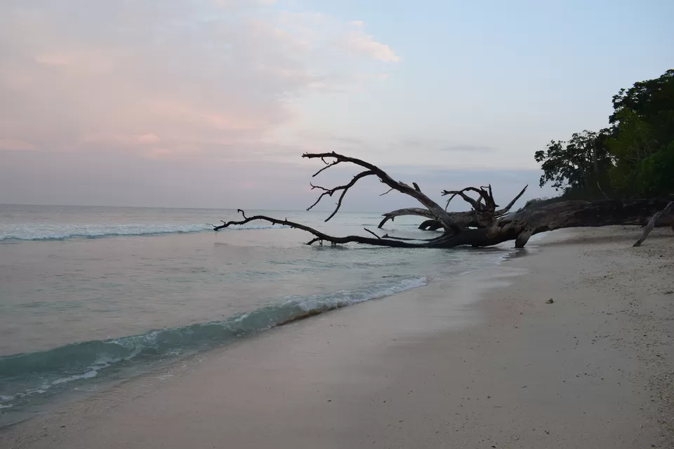 Photo of Havelock Island, South Andaman, Andaman and Nicobar Islands, India by Urvashi Rana