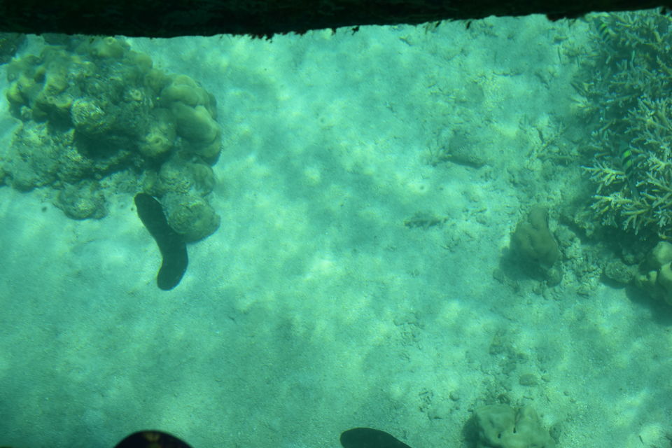 Photo of My Andaman Experience by Urvashi Rana