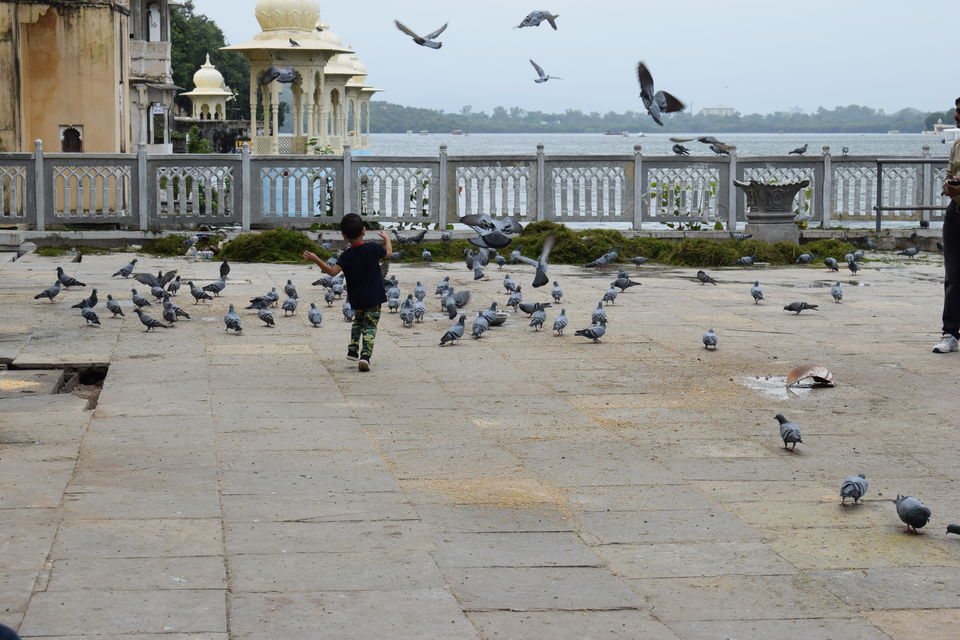Photo of Udaipur- India's Venice by Urvashi Rana