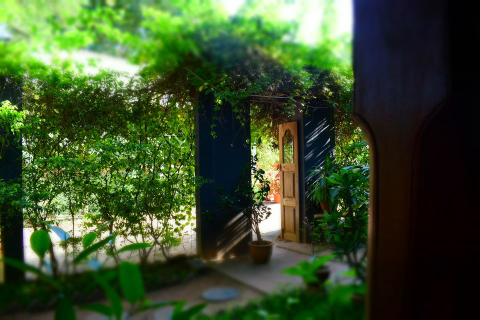 Photo of Auroville, Tamil Nadu, India by Urvashi Rana