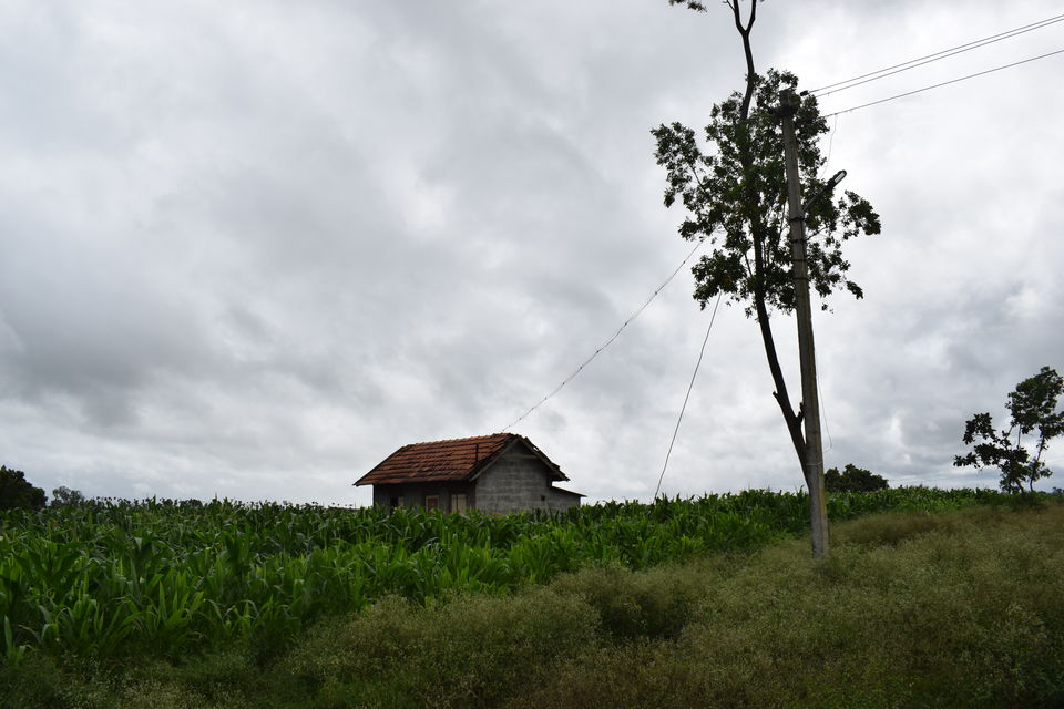 Photo of Road Trip to Bylakuppe, Coorg #offbeatplace by Urvashi Rana