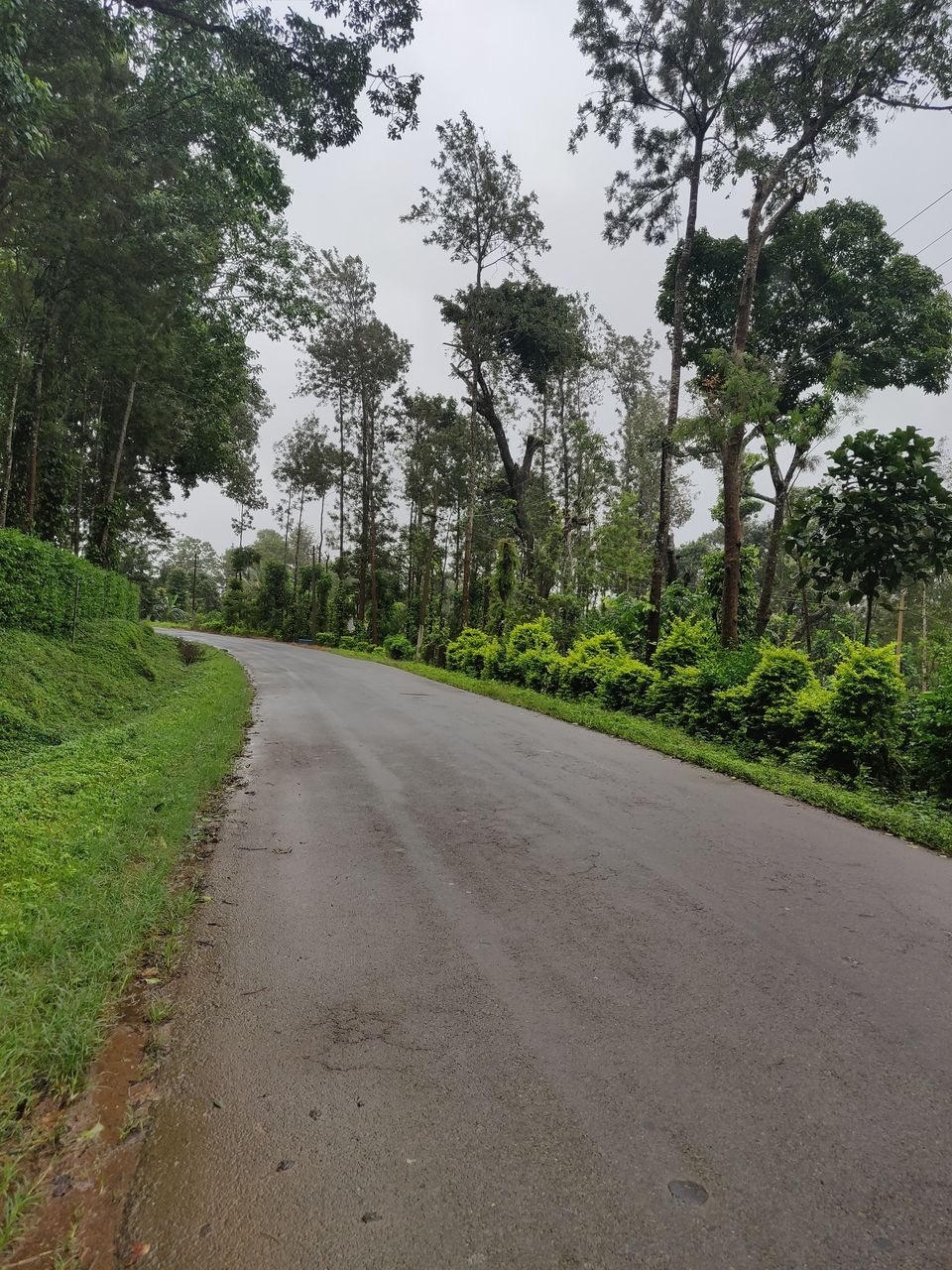 Photo of Road Trip to Bylakuppe, Coorg #offbeatplace 2/3 by Urvashi Rana