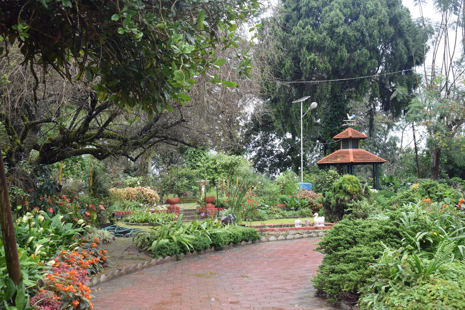 Photo of A Vintage Homestay Amidst Coffee Plantation in Coorg 5/7 by Urvashi Rana