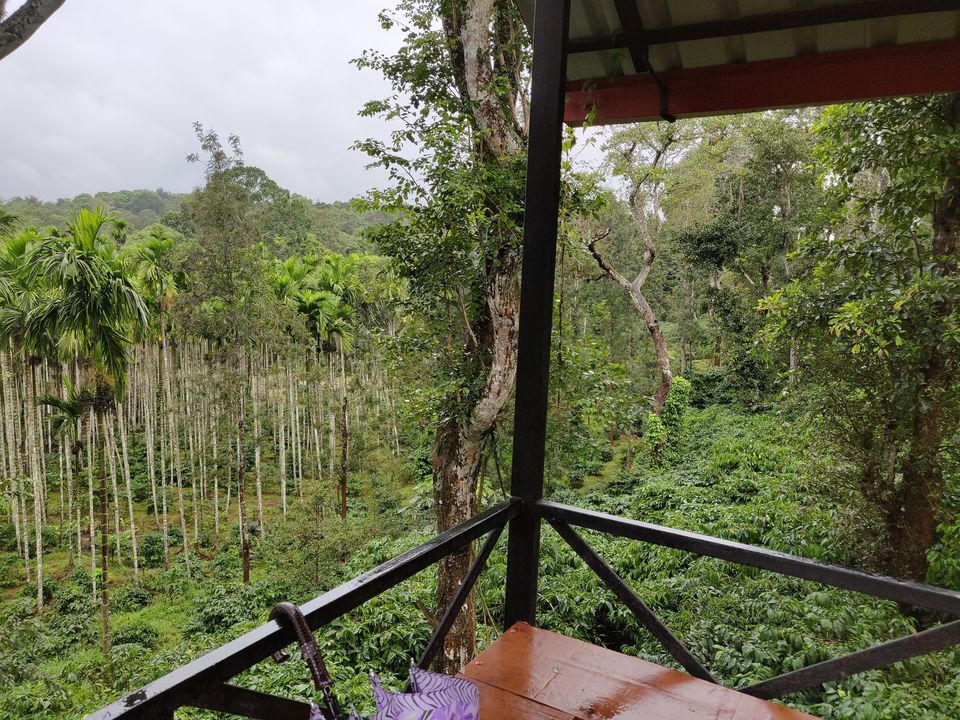Photo of A Vintage Homestay Amidst Coffee Plantation in Coorg 7/7 by Urvashi Rana