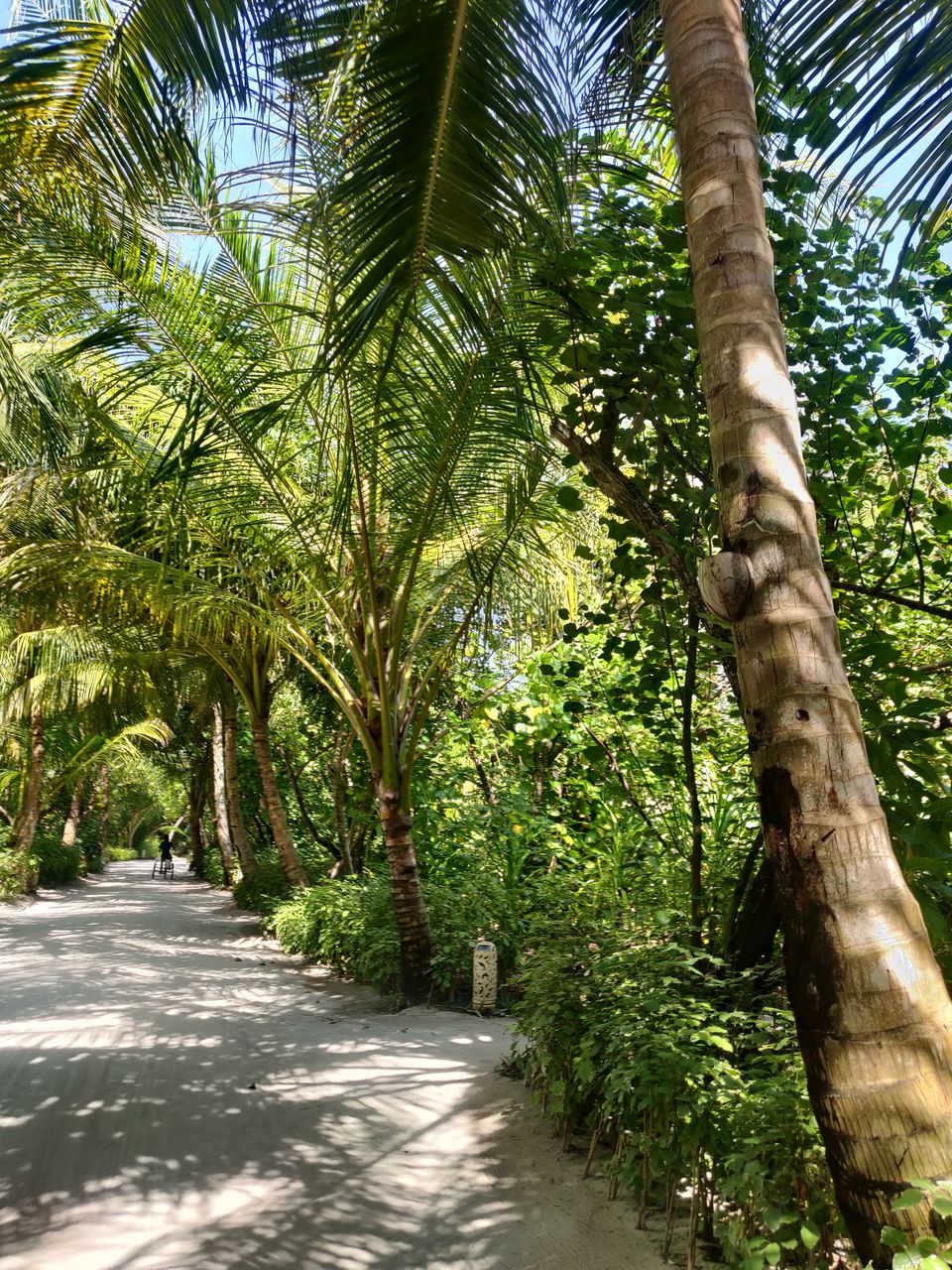 Photo of Male International Airport (MLE), Airport Main Road, Maldives by Urvashi Rana