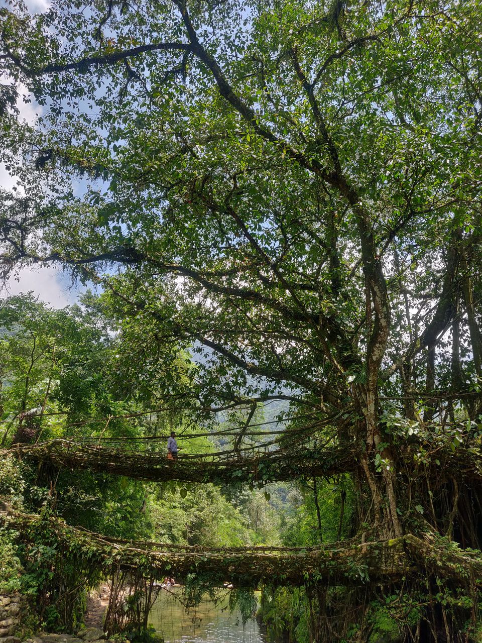 Photo of My Sojourn to Meghalaya with Economads : A Complete 6-day Itinerary (Part 1) by Urvashi Rana