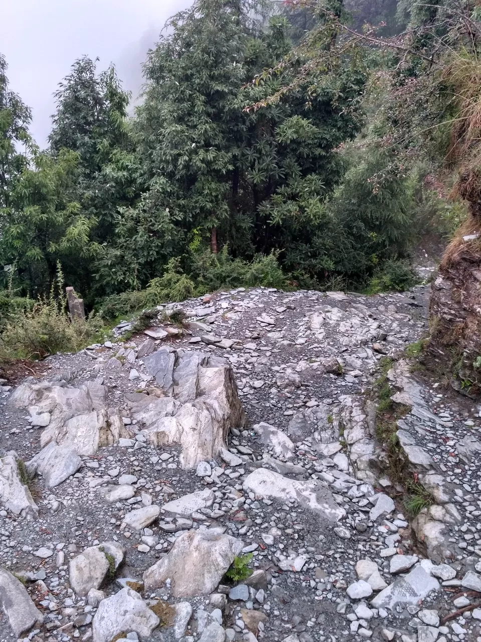 Photo of Triund Trek, Trail to Triund Hill, Dharamshala, Himachal Pradesh, India by Kushagra