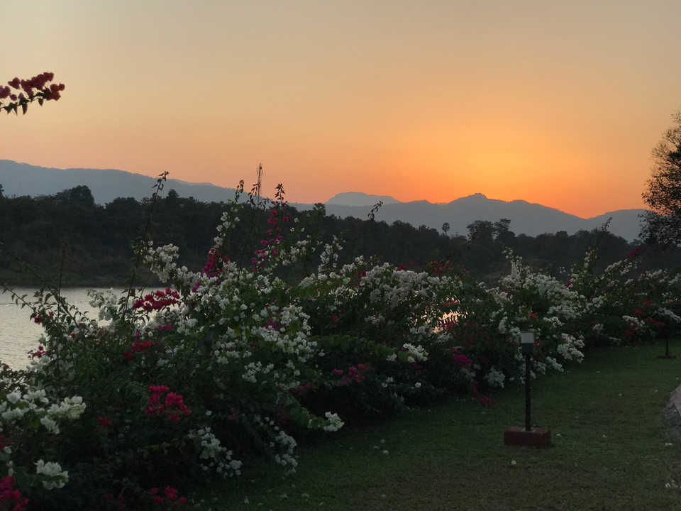 Photo of Anchaviyo, Palghar, Maharashtra, India by Chitra