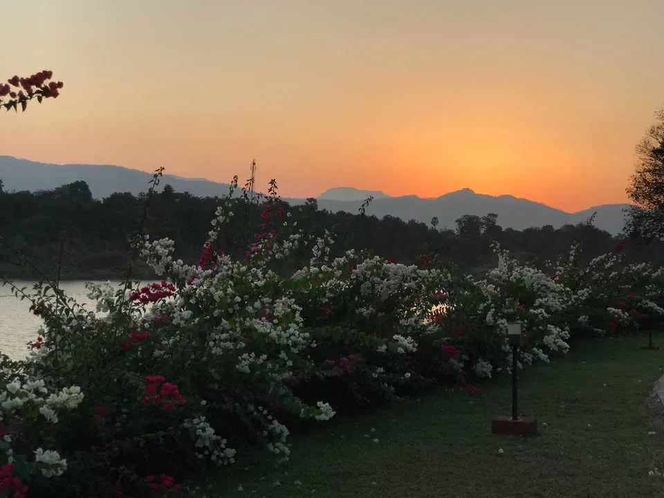 Photo of Anchaviyo, Palghar, Maharashtra, India by Chitra