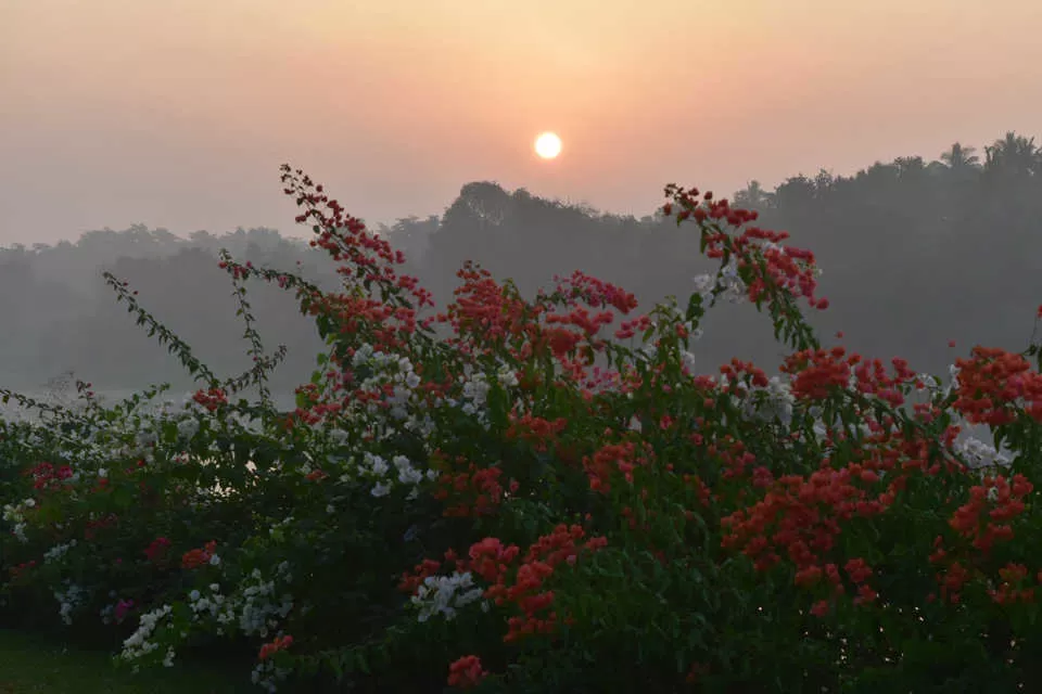 Photo of Anchaviyo, Palghar, Maharashtra, India by Chitra