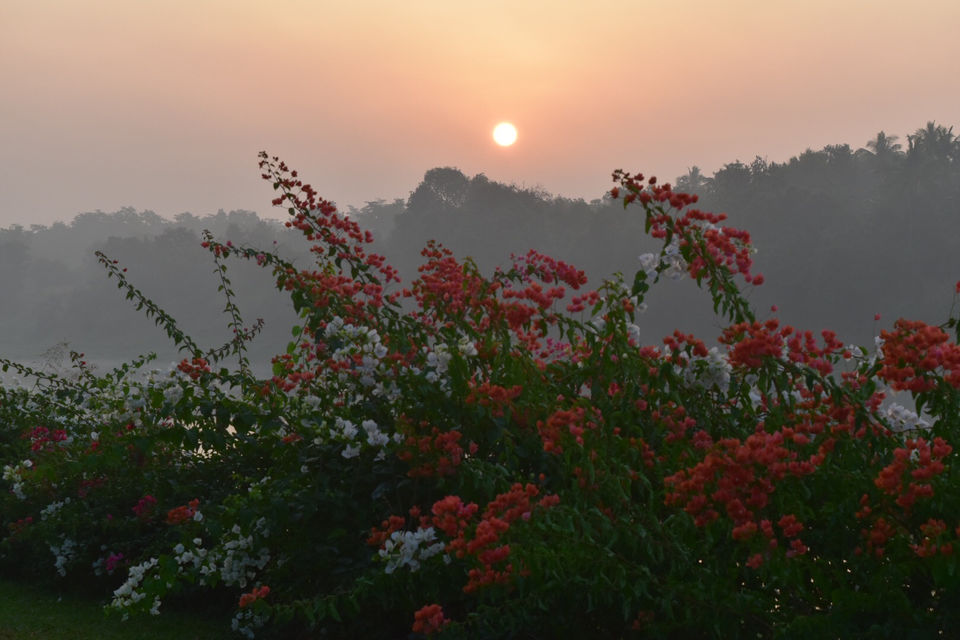 Photo of Anchaviyo, Perfect Weekend Getaway From Mumbai by Chitra