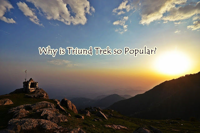 Photo of Triund Trek Mcleod Ganj ! by Abhay Banthia