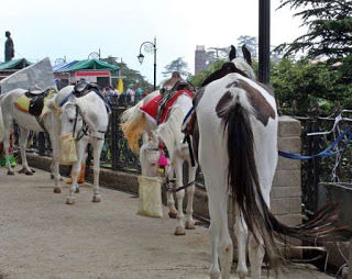 Photo of Life Through Aby's Lens: A day in The Queen of Hills : Shimla 8/23 by Abhay Banthia