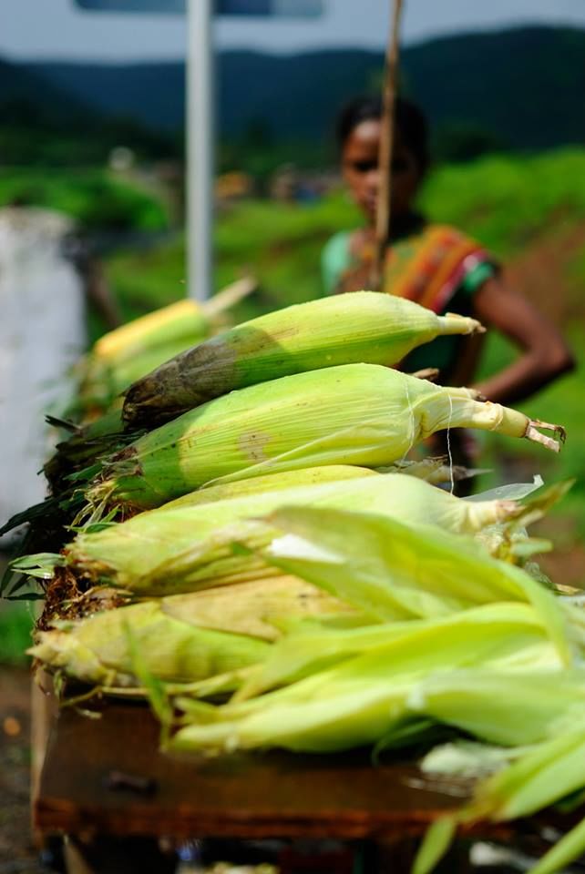 Photo of Lonavala, Maharashtra, India by Shraddhanvita Tiwari