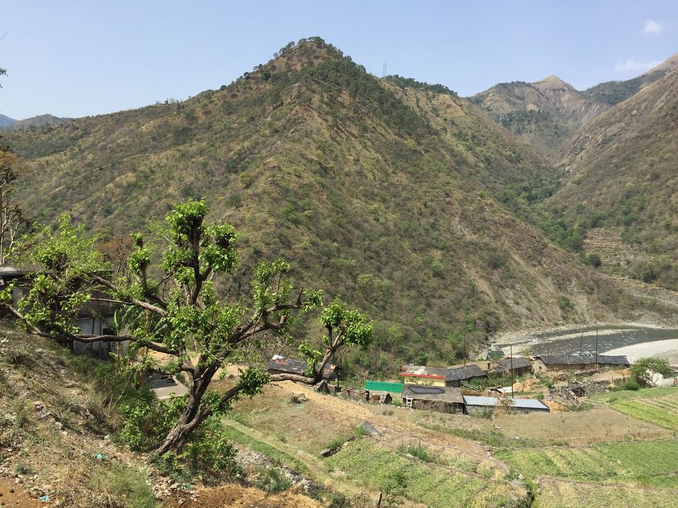 Photo of Kedarkantha Trek - An unforgettable experience 7/76 by Paromita Dutta