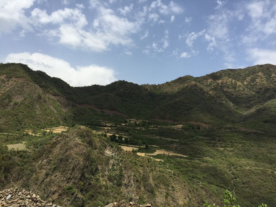Photo of Kedarkantha Trek - An unforgettable experience 8/76 by Paromita Dutta