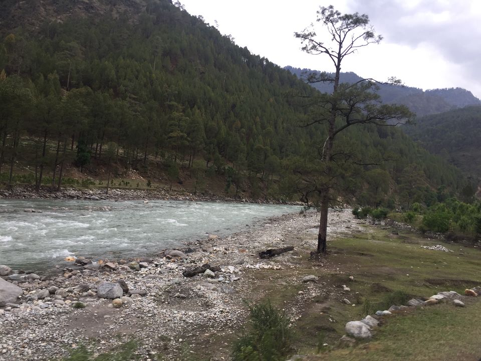 Photo of Kedarkantha Trek - An unforgettable experience 11/76 by Paromita Dutta
