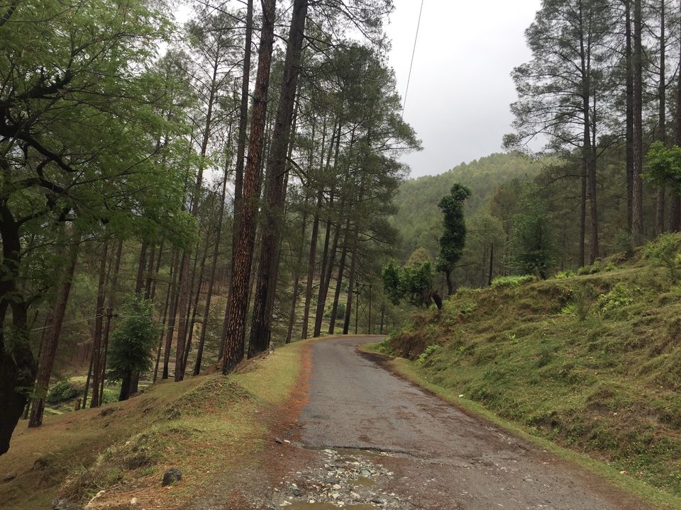Photo of Kedarkantha Trek - An unforgettable experience 14/76 by Paromita Dutta
