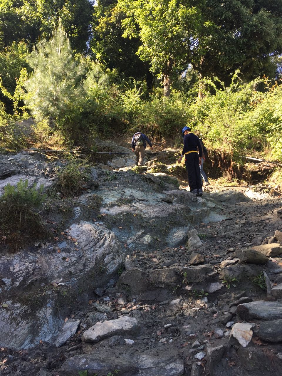 Photo of Kedarkantha Trek - An unforgettable experience 19/76 by Paromita Dutta