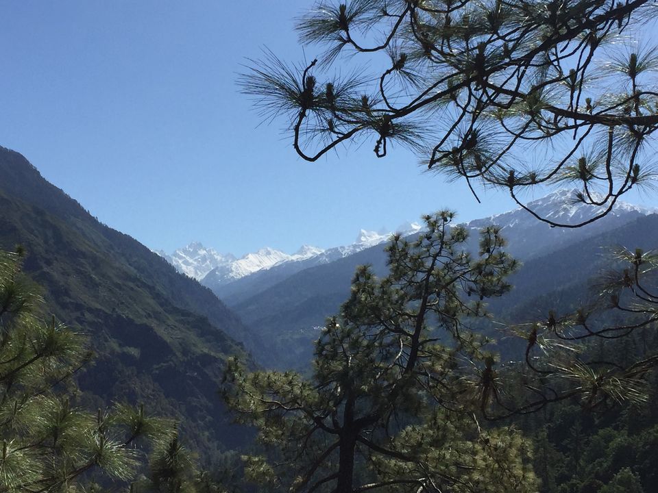 Photo of Kedarkantha Trek - An unforgettable experience 21/76 by Paromita Dutta
