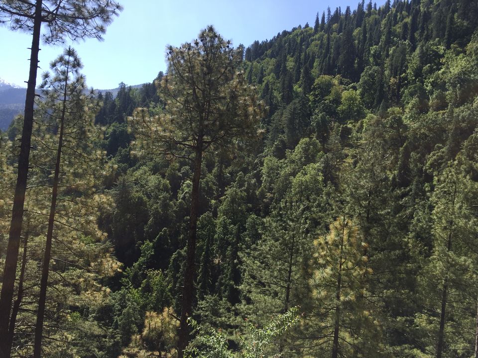 Photo of Kedarkantha Trek - An unforgettable experience 22/76 by Paromita Dutta