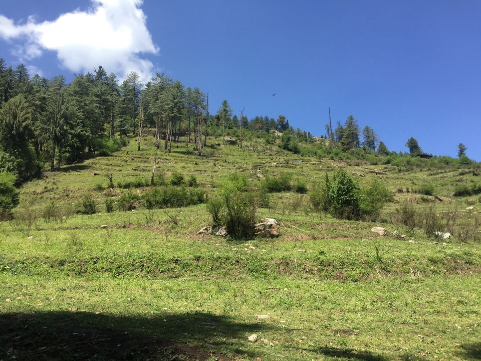 Photo of Kedarkantha Trek - An unforgettable experience 27/76 by Paromita Dutta