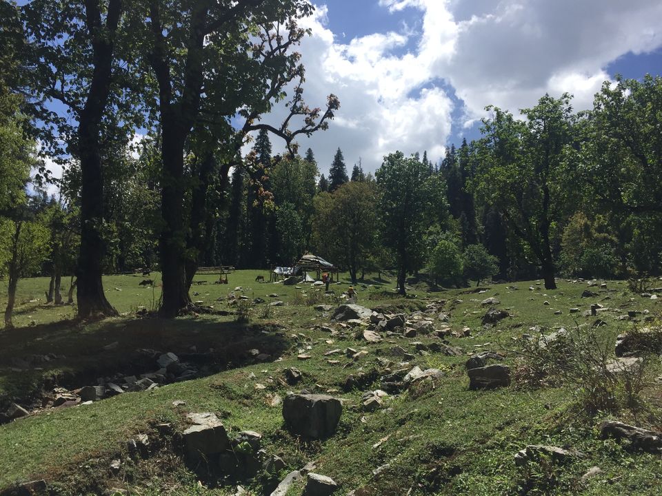 Photo of Kedarkantha Trek - An unforgettable experience 29/76 by Paromita Dutta