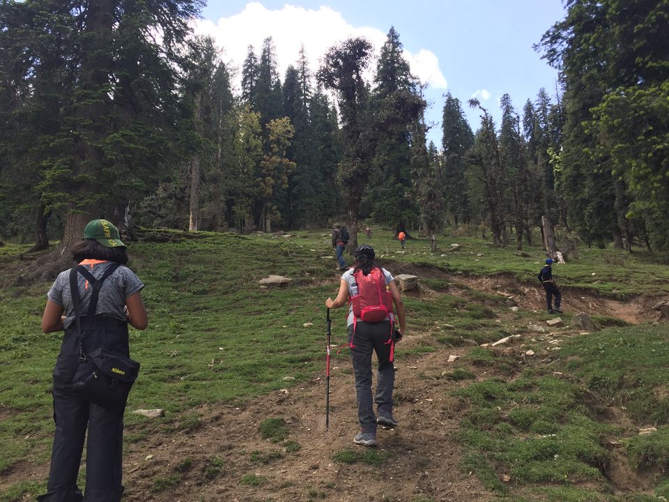 Photo of Kedarkantha Trek - An unforgettable experience 31/76 by Paromita Dutta