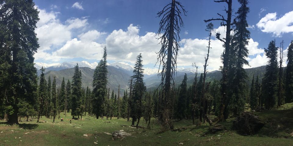 Photo of Kedarkantha Trek - An unforgettable experience 32/76 by Paromita Dutta