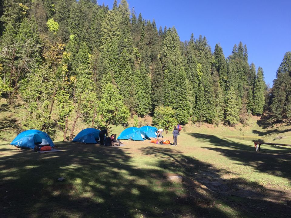Photo of Kedarkantha Trek - An unforgettable experience 40/76 by Paromita Dutta