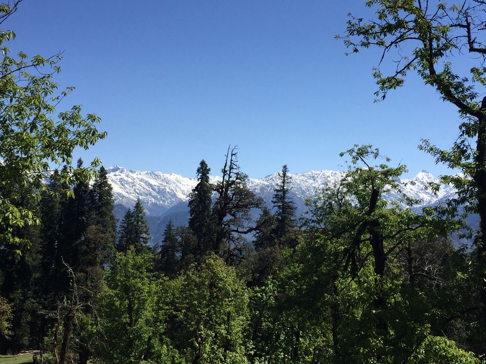 Photo of Kedarkantha Trek - An unforgettable experience 41/76 by Paromita Dutta