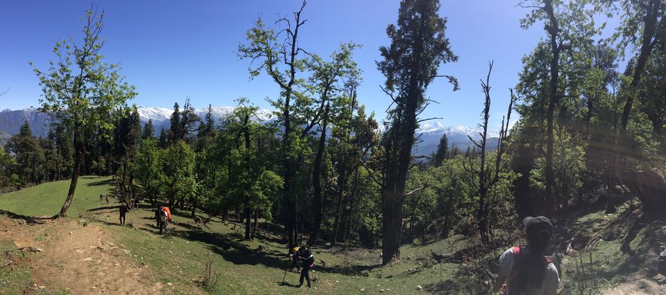 Photo of Kedarkantha Trek - An unforgettable experience 42/76 by Paromita Dutta