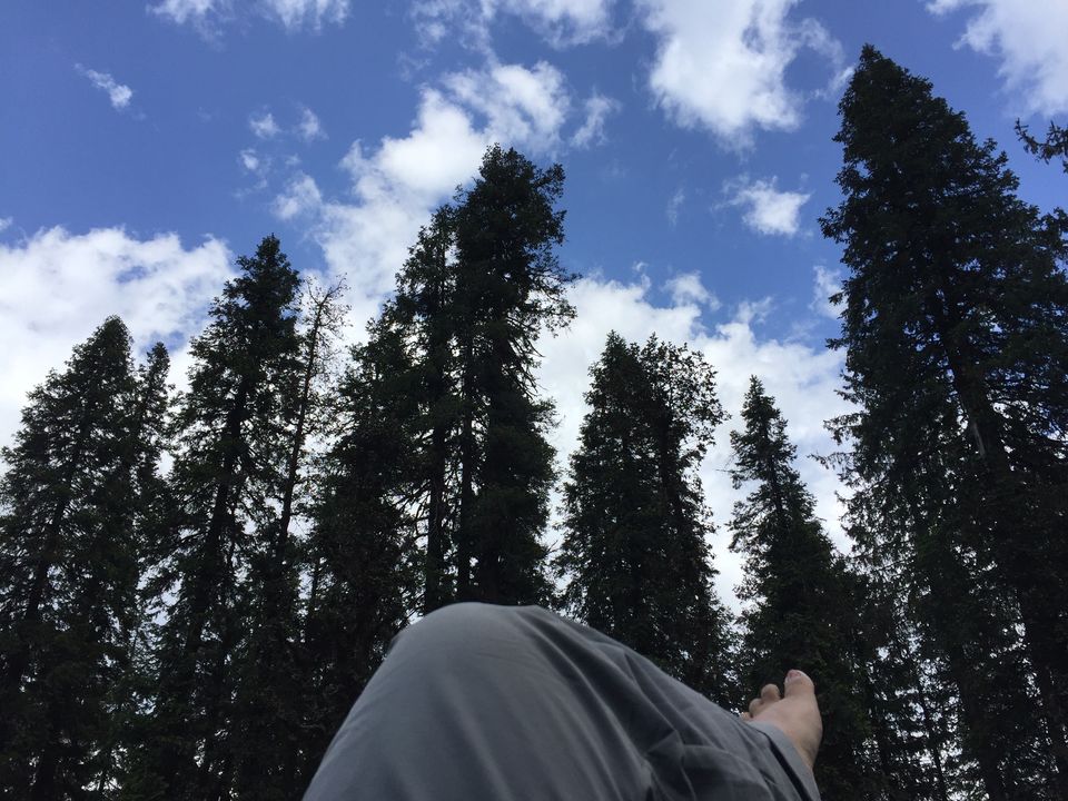 Photo of Kedarkantha Trek - An unforgettable experience 39/76 by Paromita Dutta