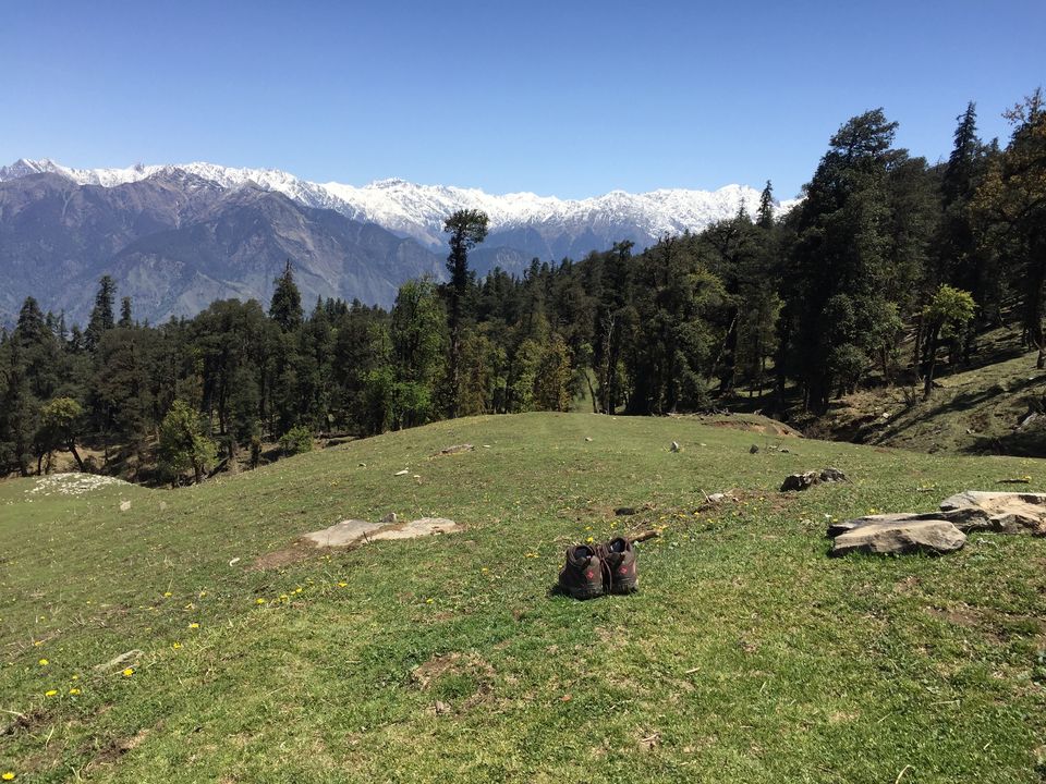 Photo of Kedarkantha Trek - An unforgettable experience 46/76 by Paromita Dutta