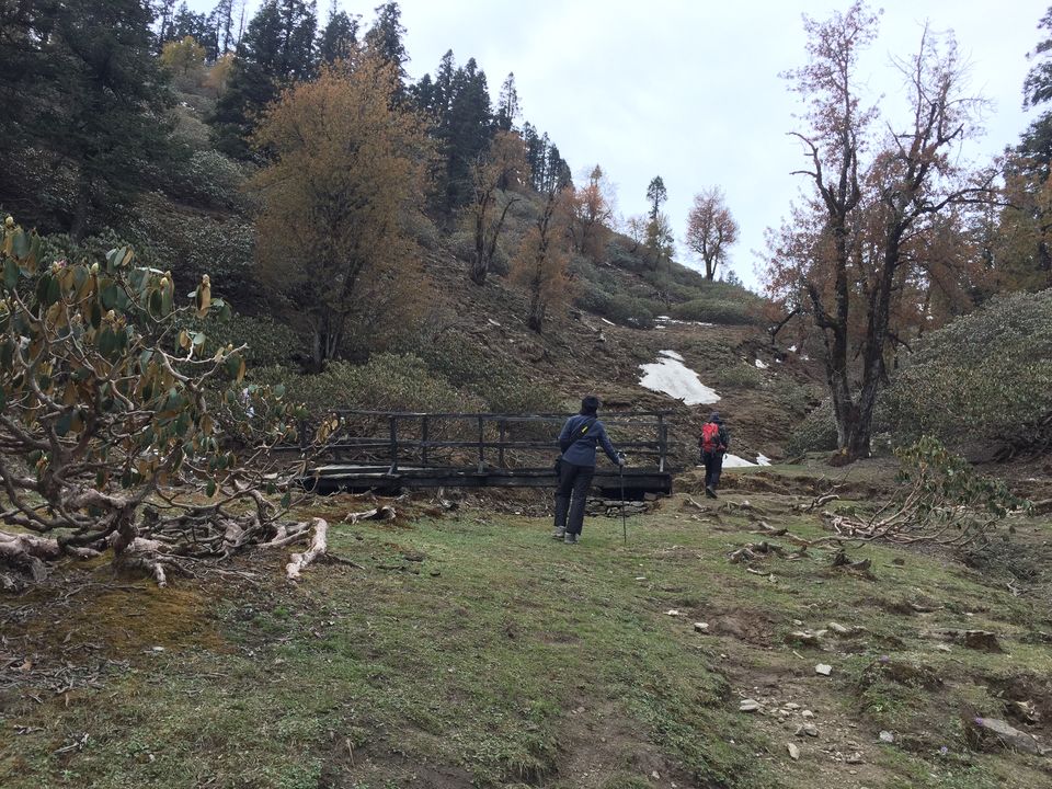 Photo of Kedarkantha Trek - An unforgettable experience 53/76 by Paromita Dutta