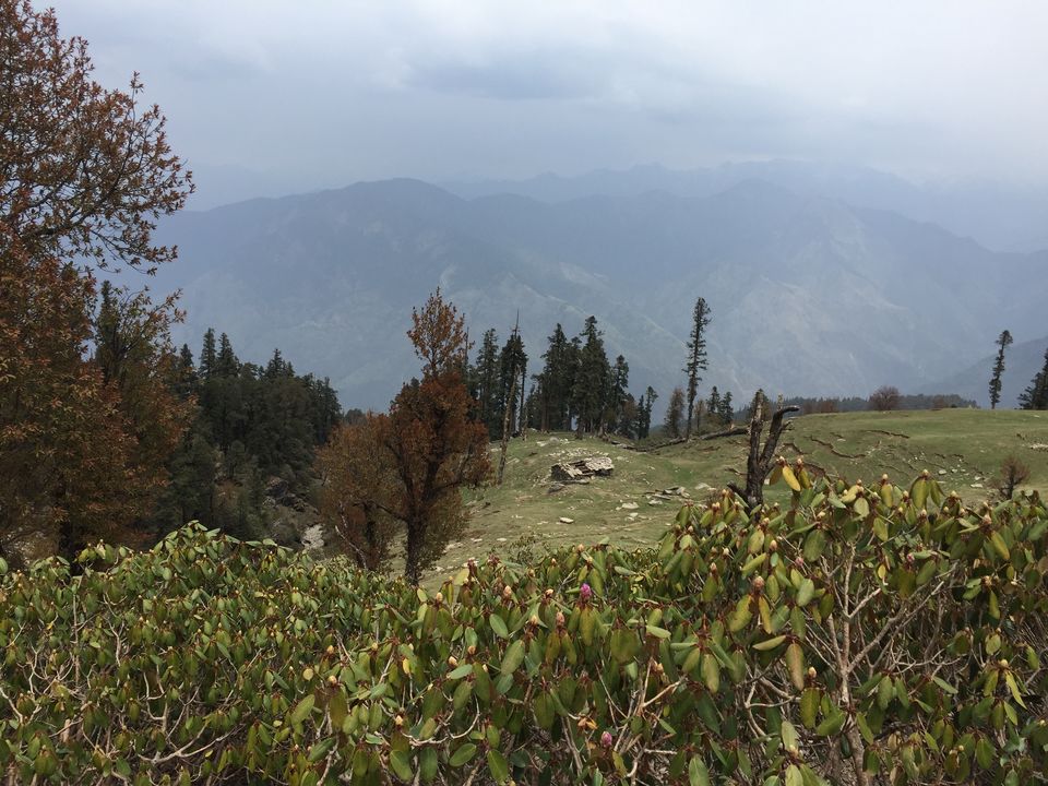 Photo of Kedarkantha Trek - An unforgettable experience 69/76 by Paromita Dutta