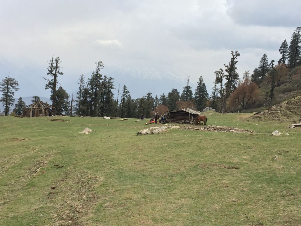 Photo of Kedarkantha Trek - An unforgettable experience 71/76 by Paromita Dutta