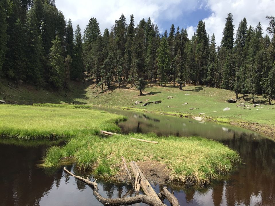 Photo of Kedarkantha Trek - An unforgettable experience 37/76 by Paromita Dutta