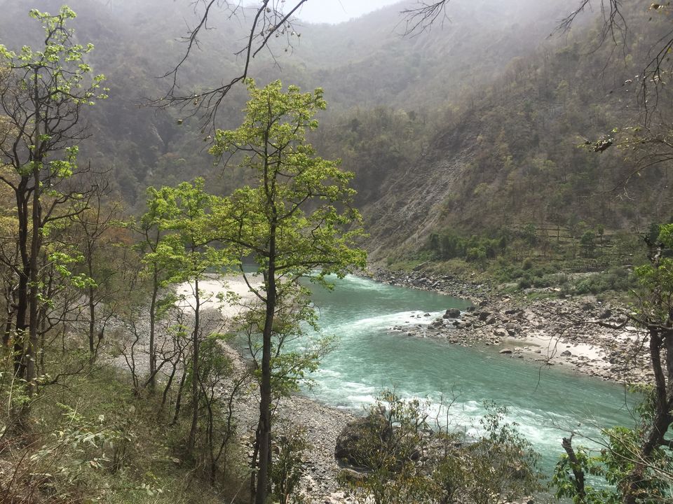 Photo of Trek to Pangarchulla 3/49 by Paromita Dutta