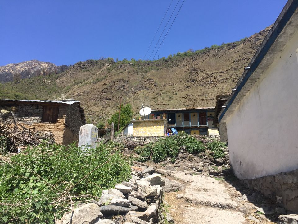 Photo of Trek to Pangarchulla 11/49 by Paromita Dutta
