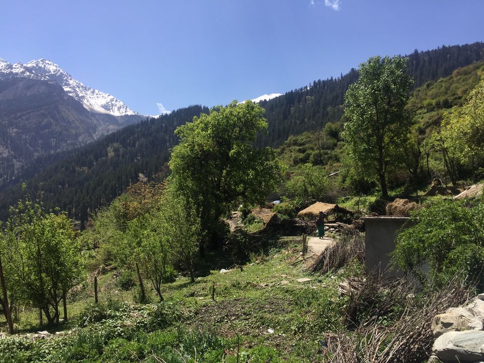 Photo of Trek to Pangarchulla 12/49 by Paromita Dutta